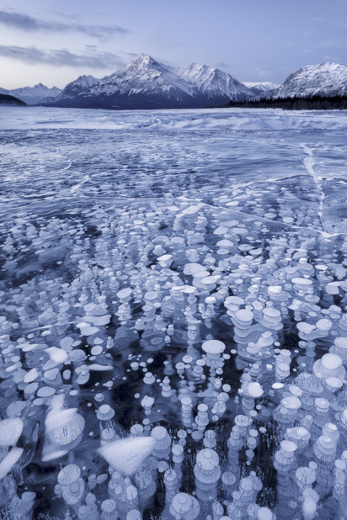 0rient-express:  Lake Abraham (by Emmanuel porn pictures