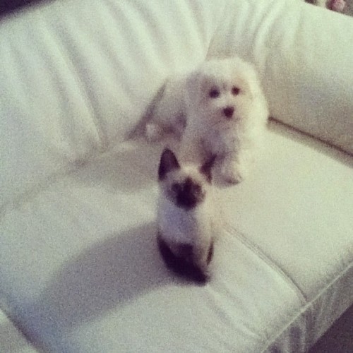 patriciacavaleiro:  Best friends forever <3