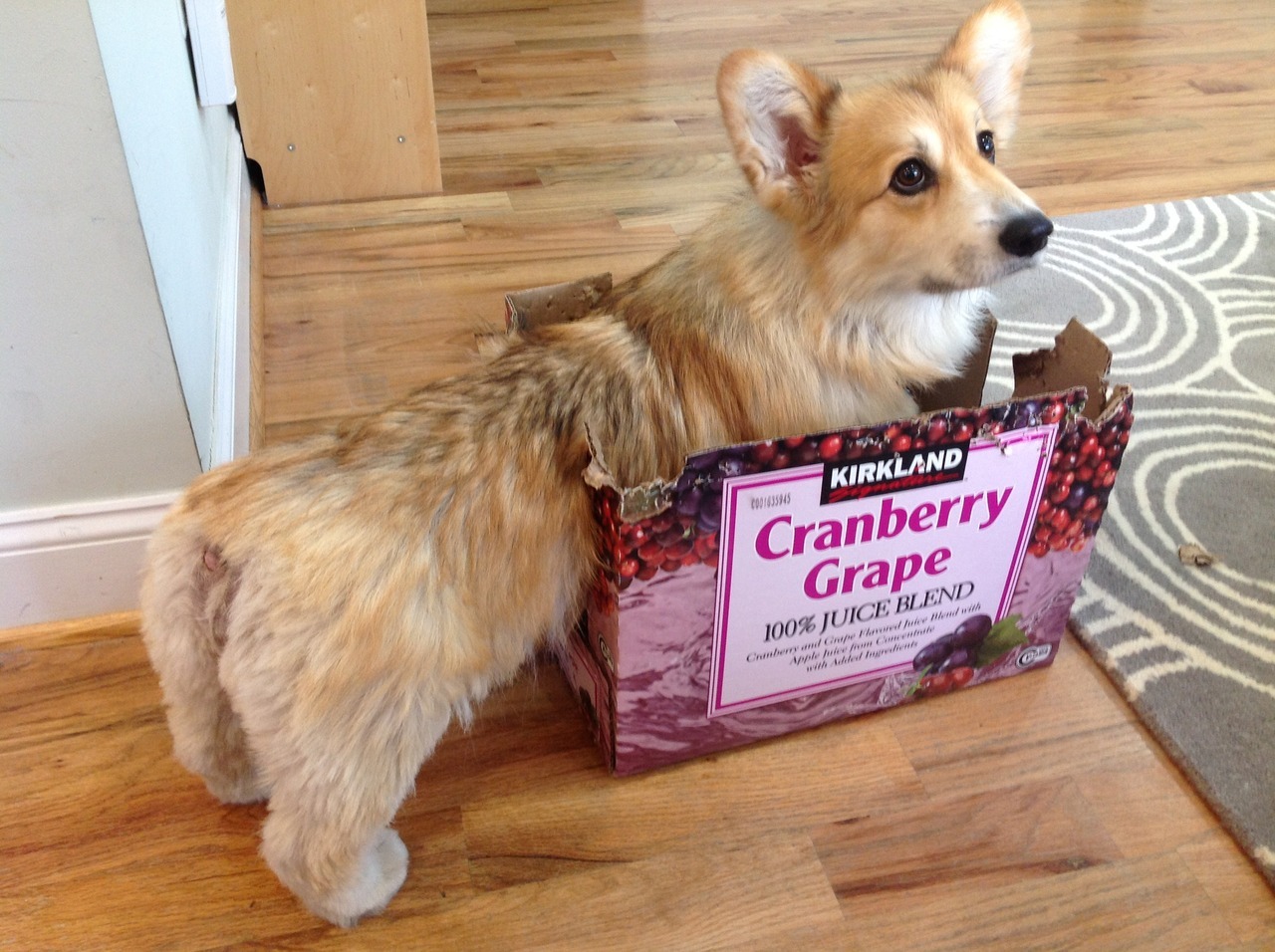 jasperislington:  Did you need something? 