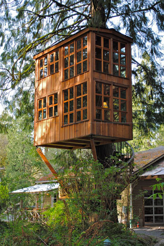 redjeep:  tree house’s… because I’m a big kid at heart. ~redjeep 