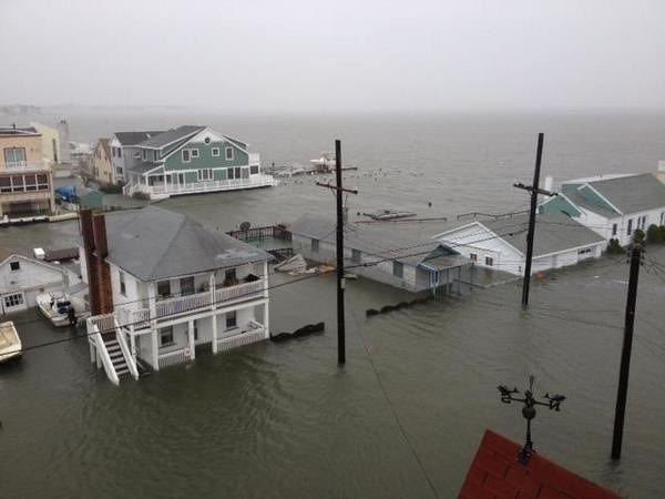 stalkerbestfriend:  legendary-otaku:  ohyeahronhermione:  THIS IS OCEAN CITY MD ITS