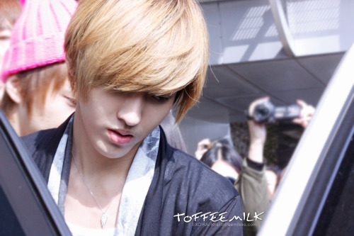 fuckyeah-exo:  toffee milk