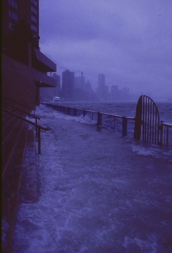thedailywhat:  Hurricane Sandy Flooding Pic