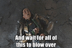 missmoodybear:Loki’s Plan for the end of the world.THIS