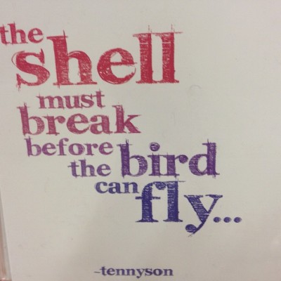 The shell must break before you can fly… #wisdom #inspiration #instainspired