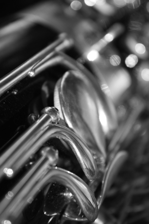 thsisryanross:  Photo session with double reeds. MY pictures. I took them.