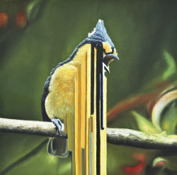 subatomickittens:  Bird rib, 2010, oil on canvas 50x50cm 