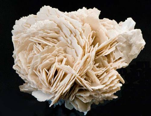 Calcite Rose