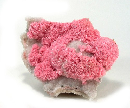 Rhodochrosite rosettes on drusy Quartz