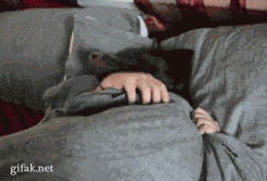 The Best of Tumblr Blog - 1000notes.com