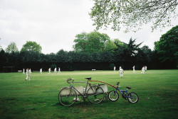 take-me-away-to-neverland:  Cricket by henry withers on Flickr.