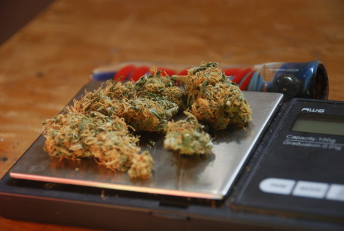 Previously Videogamesandmaryjane