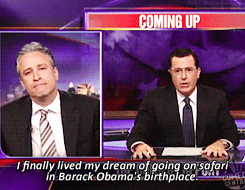 jon-stewart-you-are-perfection:the toss of the week↳ stephen’s safari vacation