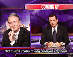 jon-stewart-you-are-perfection:the toss of the week↳ stephen’s safari vacation