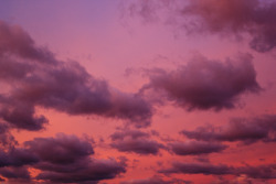 davidtribby:  rose color sky..