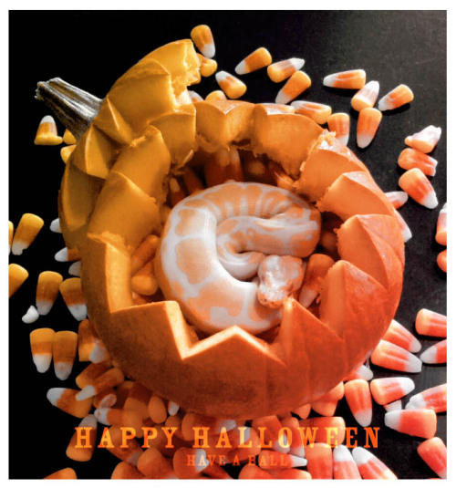 pretty-zombie-girl:Happy Halloween from Zhun by =ZombieHun on deviantART