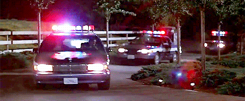 The Funniest GIFs On the Internet