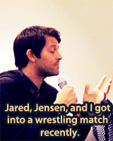 assbutt-in-the-garrison:   mishas-assbutts:  Jared, Jensen, Misha and the wrestling story. BONUS GIFS:    these fuckers I swear to Chuck 