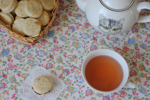 Scones au chocolat blanc (by Alittlepieceof)