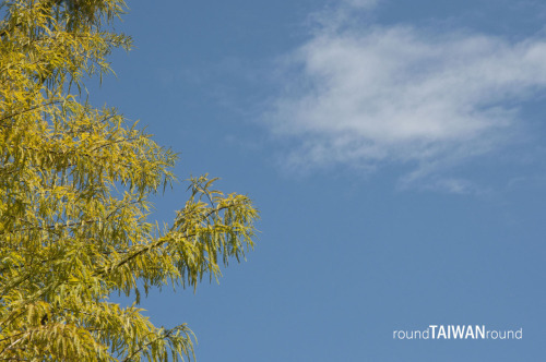 Yunshanshui   Yunshanshui (雲山水) means “ Cloud, Mountain, Water ” in Chinese. It’s a beautiful land w