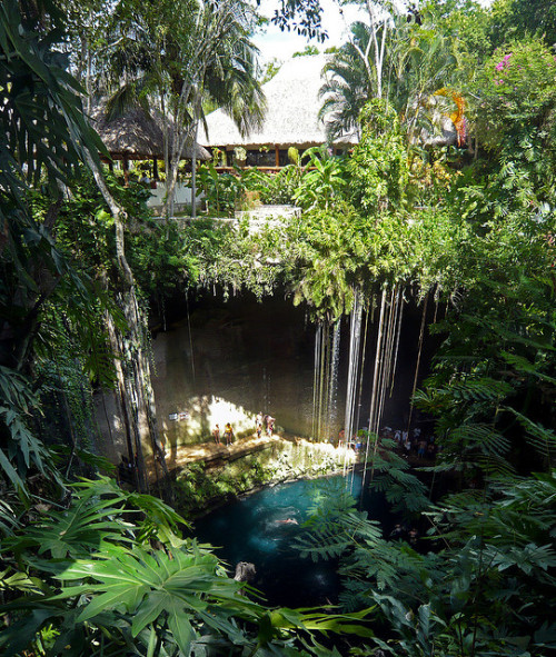 Ik Kil Cenote in Yucatan Peninsula, Mexico (by vacationtime).