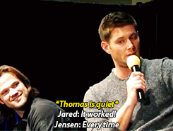 forensic-dragons:  hopelesslyhiddled:  ssjdebusk:  homoosesexual:     [x]      this entire gif set makes me want to vomit from the sheer cuteness. Doesn’t Wes call him Uncle Jensen too. Actually can’t.  HE’S UNCLE JENSEN TO THOMAS BECAUSE JARED