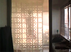 nakedwarriors:  /// Colin Firth in “Playmaker” /// 