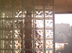 nakedwarriors:  /// Colin Firth in “Playmaker” /// 