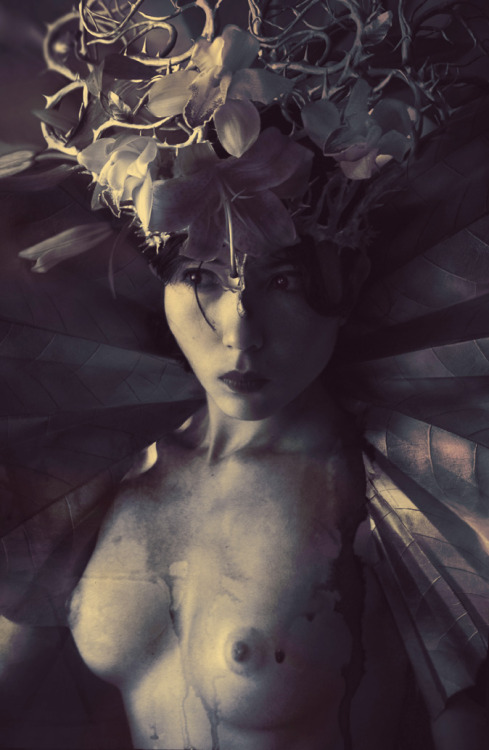 zenter:  Marcela Bolívar