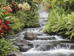 essenceofme:  Tropical Waterfall