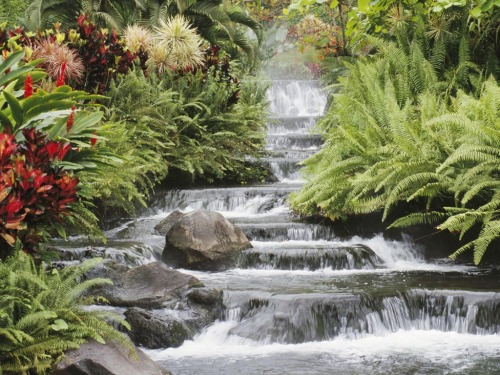 essenceofme:  Tropical Waterfall