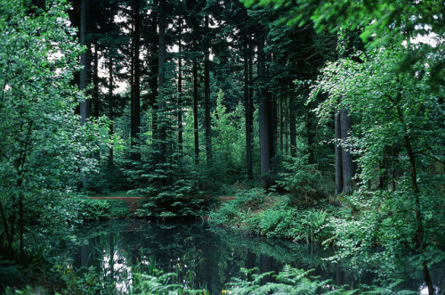 whisped:  untitled by Astrid. on Flickr.
