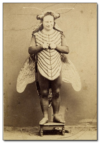 Quite possibly the most hilarious costume of the Victorian era.  And it wasn’t even Halloween 