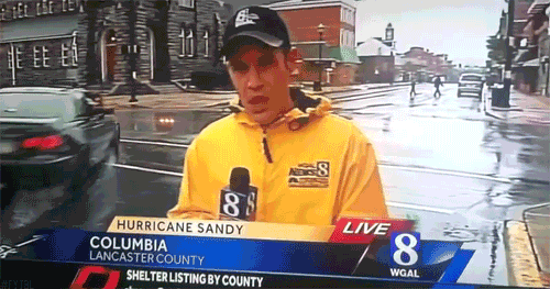 faire-liberer:  nudezombies:  Everybody is taking the hurricane quite seriously, as I can see.   another one?!  looool 
