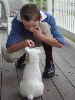 gammito:  captainoinkers:  Halloween’s been postponed in my town but my little brother wanted to try out his costume. So we did a little photoshoot haha.  THIS IS A REALLY CUTE TINTIN WOW  aaa so cute