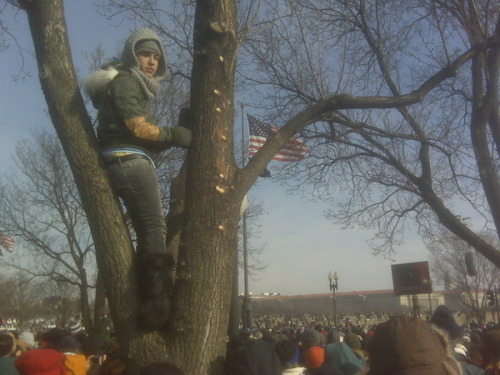 linzeestyle:  mostlyvalid:  usbeingakid:  i’m not even an fob fan, only know them from my dash, but can i just please remind you all that pete wentz climbed a tree to watch obama’s inauguration?  He did, he did indeed.  You guys, bandom was four years
