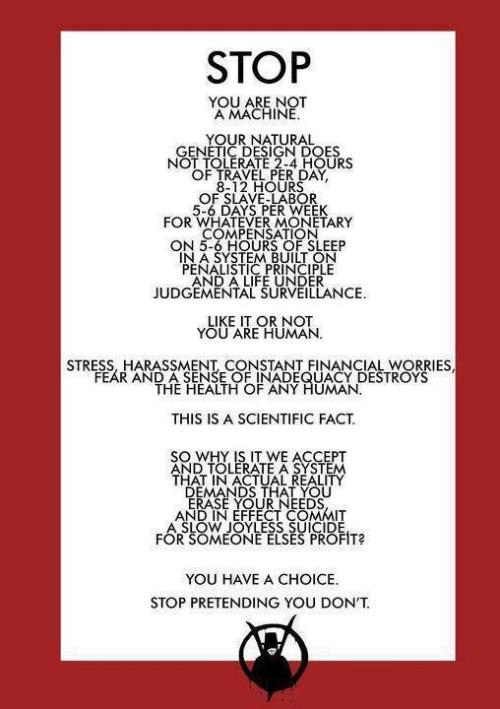 cozzbysweater:  autumns-daughter:  I needed to see this.  whoa 