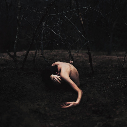 diezauberflote:  Stillborn. by alexstoddard on Flickr. 