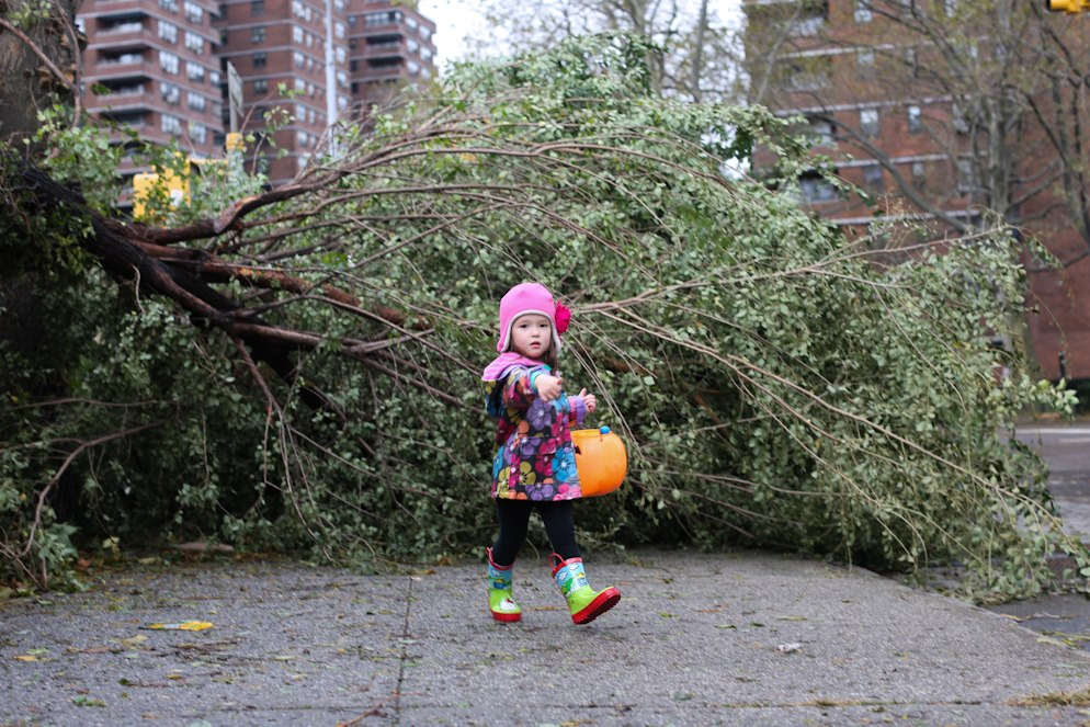 humansofnewyork:  I asked her dad why she was carrying a candy bucket. He said: “She’s