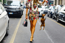 fashion-streetstyle:  (via DOLCE &amp; GABBANA TAPESTRY | Street Peeper) ADR AND HER DOG