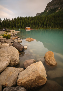 woodendreams:  (by Owen O’Grady) 