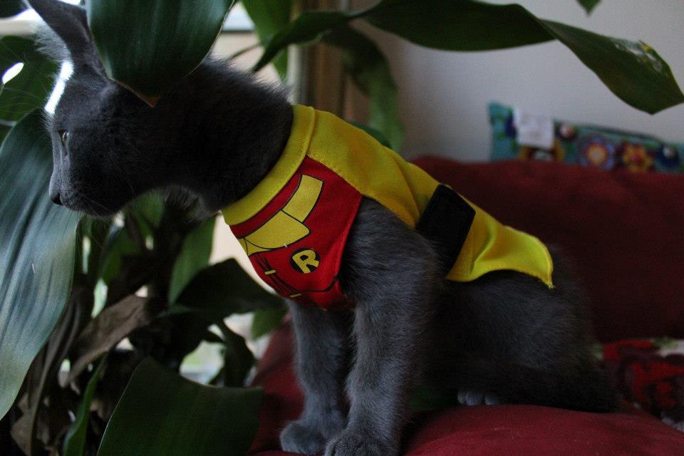 aww