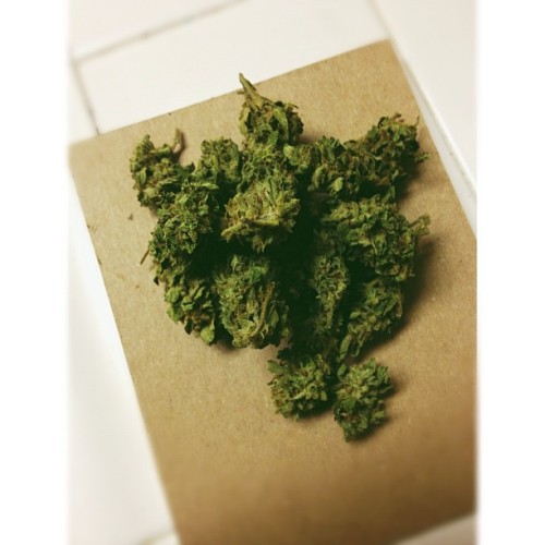 veeeveeeganja:  Romulan 