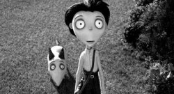 execute-billiards:  shada-was-in-the-area-and:  mechanicalbino:  ctrayn:  arthurdarvillismyspiritanimal:  agentsama:  sardinesawesomeness:  whimsicalsummersunflower:  Its like an evolution 0.o  OHMYGOD  In which Tim Burton has just been directing one