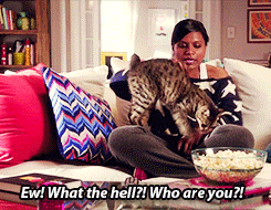 The Best of Tumblr Blog - 1000notes.com