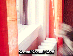 The Best of Tumblr Blog - 1000notes.com