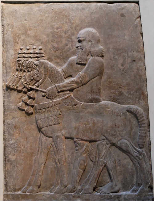 fishstickmonkey:Reliefs from the Palace of King Sargon II at Dur Sharrukin in Assyria (now Khorsabad