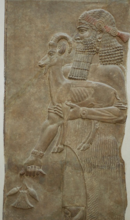 fishstickmonkey:Reliefs from the Palace of King Sargon II at Dur Sharrukin in Assyria (now Khorsabad