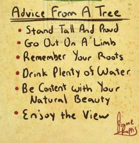 silverandg0ld:  I absolutely love this.