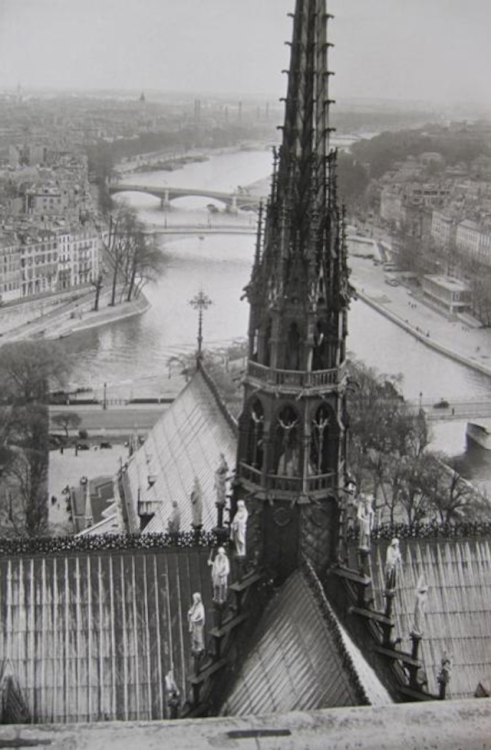 Henri Cartier-Bresson - View atop Notre Dame, Paris (1948).